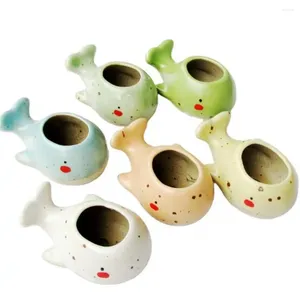 Vases Vaste Céramique Whale Flower Pot Mini dessin animé Planteur succulent Planteur créatif Pouce de maison peint à la main Accessoires