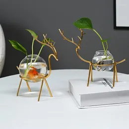Jarrones Desktop Hydroponic Flower Decoration Descripción de la sala de estar Suministros de agua Suministros de jarrón simple