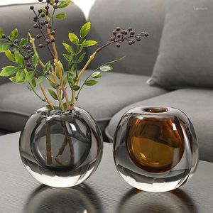 Vases European Transparent Glass Vase Decoration Creative Light Luxury Living Room Table basse Round Flower Continer Home