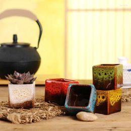 Vases Flower Pot Kiln devient petite et personnalité carrée mini maison simple succulent Bureau du pouce