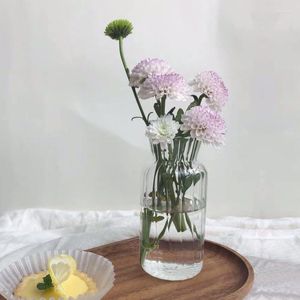 Vazen Bloemvaas voor Home Decor Glass Terrarium Container Tafel ornamenten Kleine plant