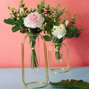 Vases Flowerpot Largement utilisé Art Transparent Artisan Vase Vase Hydroponic Plant Decorative Modern Aquarium