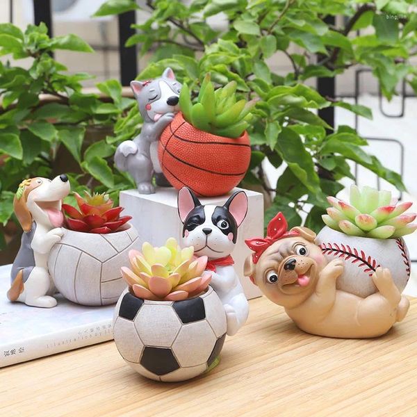 Vases Football Decoration Animal Flowy Flower Pot Dog Plant Plant Plant Bureau Micro-Landscape Ball