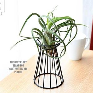 Vases Geometric Air Plant Rack Saip