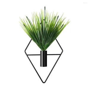Vases Geometric Wall Plantder Installation Facile Decoration Universal Decoration Simple and Generous Golter Gold Green Grass