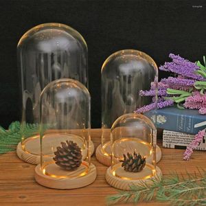 Vazen glazen displaybox met LED -licht houten decoratieve heldere cloche base voor doe -het -zelf planten home decor poppen collectie modle