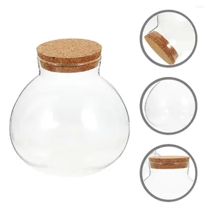 Vases pot en verre avec couvercle, Terrarium pour plantes, conteneur décoratif pour Micro aménagement paysager, bouteille artisanale en mousse, bureau Micro-paysage