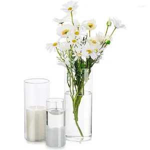 Vases Vase en verre Pot de fleur hydroponique pour fleurs séchées arrangement bouteille cylindre décor maison chambre
