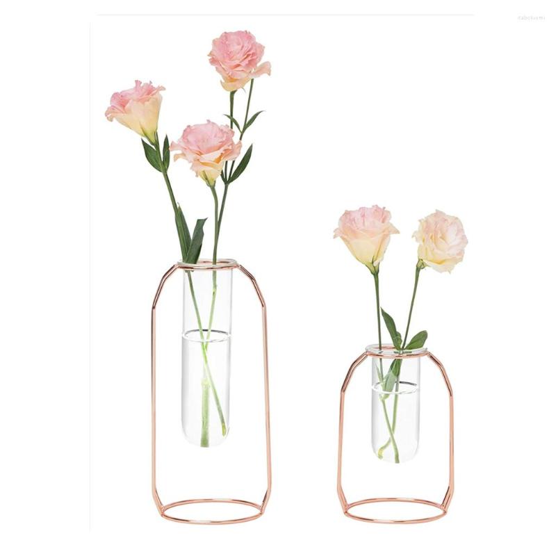 Vases Glass Vase With Metal Frame 24cm/9'' Transparent Cylinder Planter Terrariums Flower Holder For Office Home Desk Shelf Decor