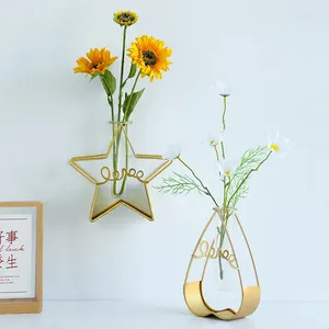 Vases dorés modernes décoratifs en verre, porte-plante hydroponique géométrique creux ligne de fer cadre vase tube à essai conteneur de plantes