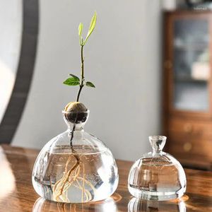 Vazen groeien vaas avocado voor elegante boom transparante glazen plantenpot met hittebestendigheid