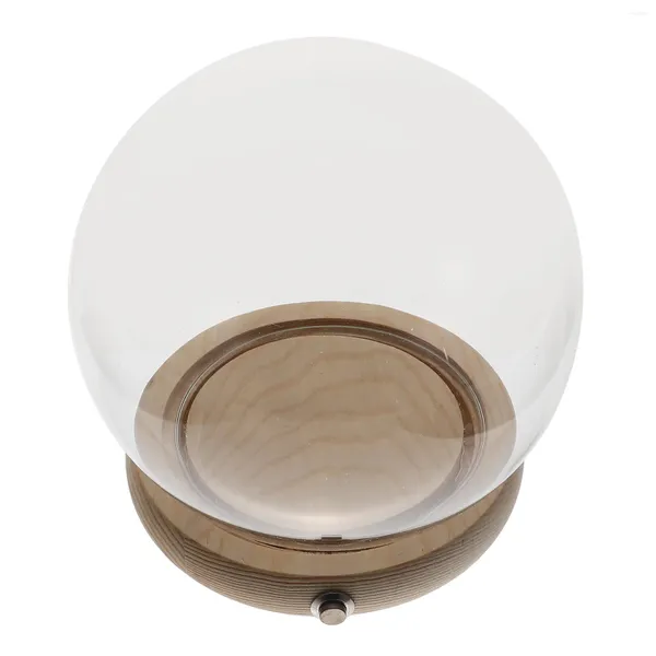 Jarrones Cubierta de vidrio hecha a mano Bell Jar Display Dome Holders Cloche con planta base de madera