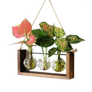 Vazen hangende hydrocultuurplant terrarium vaas bloemenpot delicate decoratieve glazen hanger voor muurdecoratie thuiskantoor