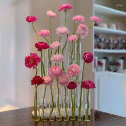 Vases Home Test Tube Vase Glass Grid Red Ins Floral Hydroponic Flower Pot Decoration Fleurs
