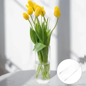 Vazen Hydroponische fles Clear Glass Bloem Vaascilinder Decor Home Office Planter