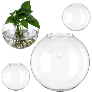 Vases en verre de bouteille à fleurs hydroponiques Plaviers à vase pour plantes intérieures suspendues terrarium