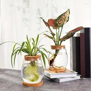 Vases Pot de fleur hydroponique maison Vase décor Transparent Imitation verre Pots de plantes sans sol plantes vertes pour la décoration