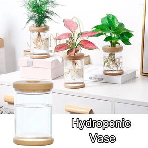 Vazen Hydroponic Plant Plastic vaas Zelfabsorberend waterpot kantoor tafelblad feng shui transparante fles ornamenten ornament