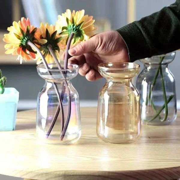 Vases Vase de démarrage de graines hydroponiques Cadeau Ampoule transparente en croissance pour fleur en verre