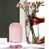 Vases ic simple vase rose créatif ins glass flower bouteilles salon table de salle à manger décoration artisanat transparent vases t221214