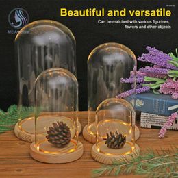 Vases imitation fleur verre dôme base en bois avec lumière LED pour plantes succulentes décoration de la maison bricolage figure boîte d'affichage cache-poussière