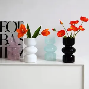 Vases Ins Plant Terrarium Fleur Bottle Glass Vase Vase Hydroponics Decorative