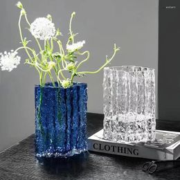 Vases Instagram Premium Light Luxe Glacier Vase Verre Transparent Arrangement De Fleurs Rose Salon Table À Manger Décoration