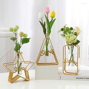 Vases jardinière de fleurs en fer avec Vase en verre ornement de bureau cadre en métal doré géométrique support bouteille porte-plante hydroponique