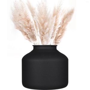 Vases Pot de fleur de fer Bouquet Plante Vase noir pour la décoration de la maison Support métallique Conteneur Pampas Grass Bud Ménage