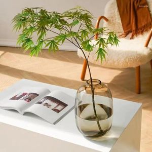 Vases de style japonais vase en verre vase Ins Simple Water Culture Modern Decoration Home Room