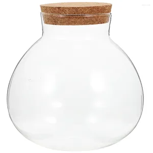 Vases paysage bouteille plante Terrarium mousse conteneur Micro-paysage bricolage verre vide décoratif aménagement paysager Vase