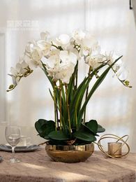 Vases légers de luxe tactiles, Simulation de Phalaenopsis, fausse composition florale, ensemble de salon, plante décorative en pot