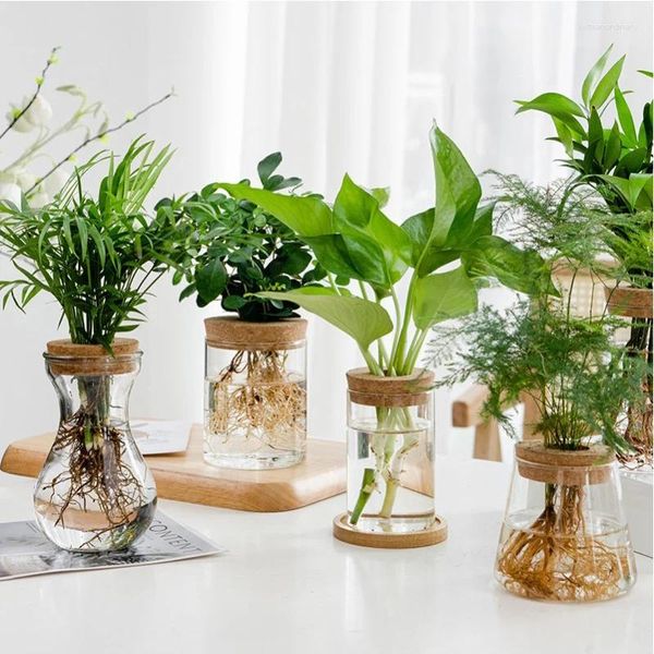 Jarrones botellas de vidrio de micro paisajismo con tapón de madera botella ecológica barrón redondo garrera de flores hidropónicas decoración del hogar