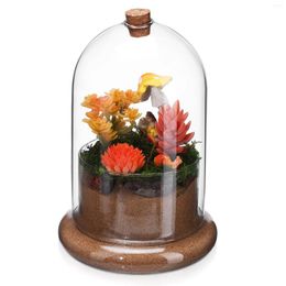 Jarrones Micro paisaje cubierta de musgo contenedor mesa adorno terrarios de vidrio para plantas florero suculento tarro campana en forma de Mini