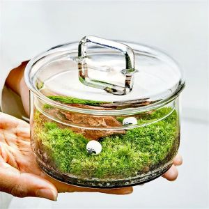 Vazen Micro Landschap Mosplanten Glazen Fles Met Deksel Vers Groen Mos Oppotten Glas Terrarium Creatieve Bonsai Planten Binnendecoratie