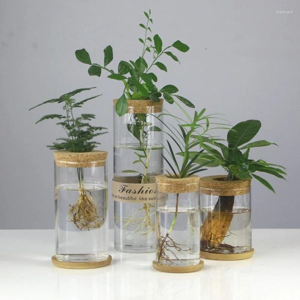 Jarrones Mini maceta de flores hidropónicas, jarrón de plantas de cristal, terrario transparente, plantas de mesa, macetas, decoración del hogar para sala de estar Vintage