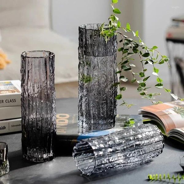 Vases Ornements de glacier à fleurs modernes Verre Verre Simple Living Plantes Terrarium Décoration Transparent Hydroponic Luxurious Vase Room Home