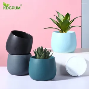 Vases modernes Pots en céramique faits à la main créatifs nordics nordics électroplate des plantes vertes hydroponiques succulentes en pot