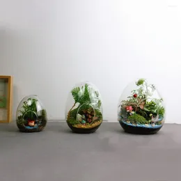 Vases en mousse, Terrarium hydroponique, bouteilles en verre, Micro paysage, Vase succulent, décoration de la maison