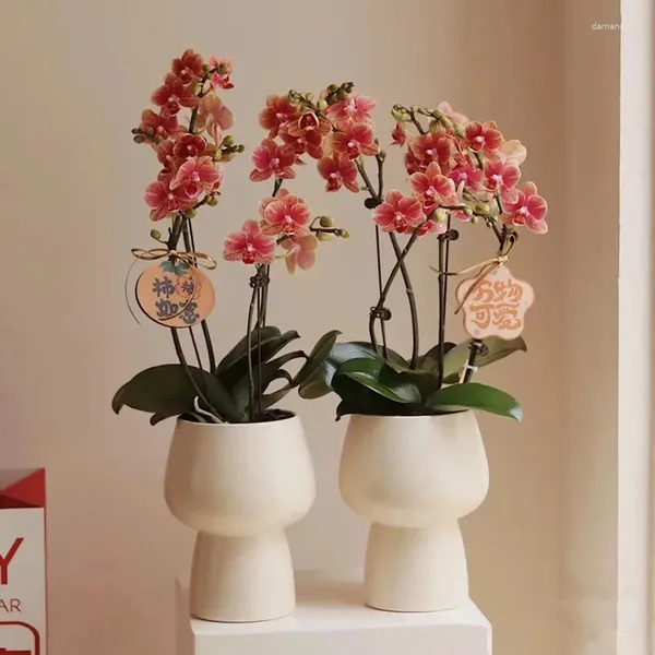 Vases Nordic Creative High Foot Simple Pot de fleurs en céramique Lumière Luxe Sens Arc Orchidée Spécial Petit Pot de fleur