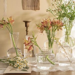 Vases nordique créatif hydroponique verre Transparent Terrarium plante bouteille Pot de fleur conteneur Vase décor à la maison