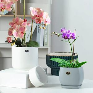 Vasen Nordic Kreative Einfache Unregelmäßige Keramik Blumentopf Kaktus Gardenia Schmetterling Orchidee Topf Container