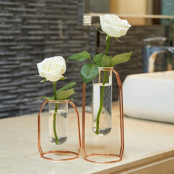 Vases Nordic Creative Vase Home Decor Golden Glass Hydroponic Plant Plant Line Ligne Fleur Ornement de jardin Décoration