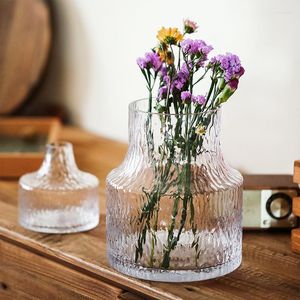 Vases nordique Glacial verre Vase Eeveryday décoration de la maison Pot de fleur conteneur plantes support à la main Pot de fleurs