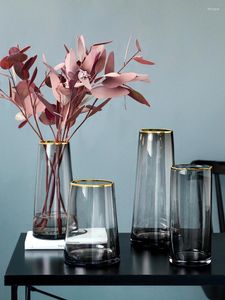 Vases Lumière nordique Peintures de luxe Phnom Penh Vase en verre transparent Décorations Moderne Simple Maison Salon Fleur