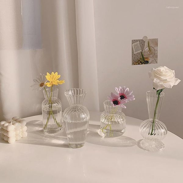 Vases nordique minimaliste Vase verre Transparent pour plante bouteille Pot de fleur Hydroponique Terrarium Arrangement