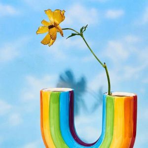 Vazen Nordic Rainbow U-vorm vaas Esthetische bloemenvaas Moderne gedroogde bloemen Hars bloempot Cachepot voor bloemen Kantoor Home Decor