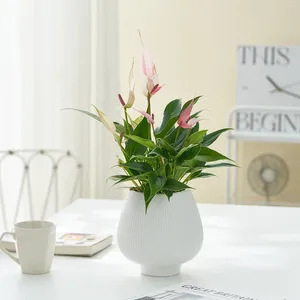 Vases nordiques simples rayés en céramique pot de fleurs Morandi fleurs vertes bureau protection de l'environnement