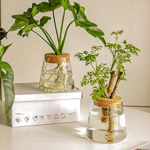 Vazen Noordse eenvoudige transparant glas Home Decoratieve hydrocultuur Plant Vaas Creatief tafelblad Ornament Flower Arrangement Bottle
