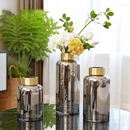 Vases Nordic Style Glass Living Room Ikebana Modern Minimalist Luxury Design Jarrones Decorativos Home Decoration WZ50HP
